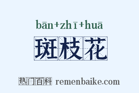 斑枝花是什么意思的图片